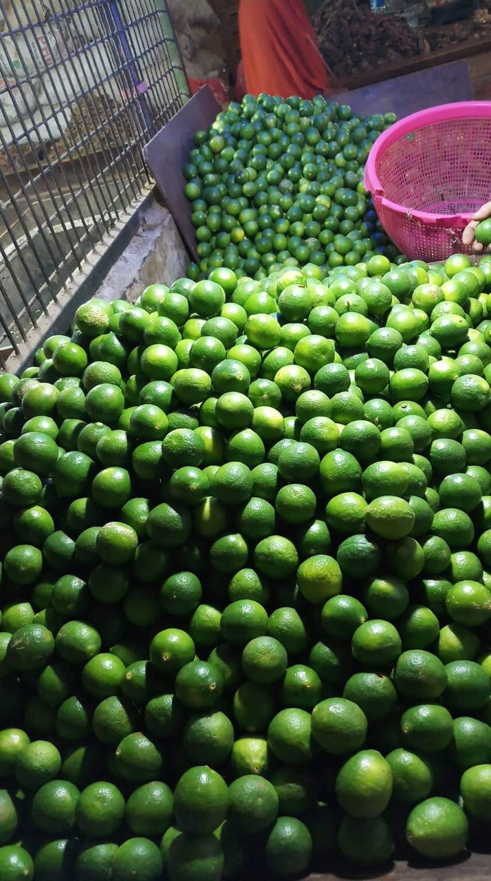 Jeruk Limau / Jeruk Sambal (Seasoning Lime)
